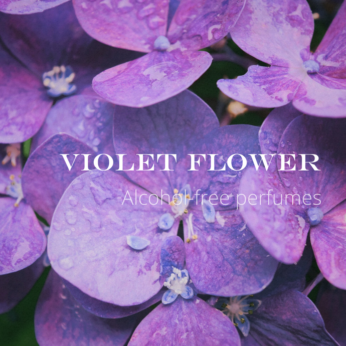 The smell of violet